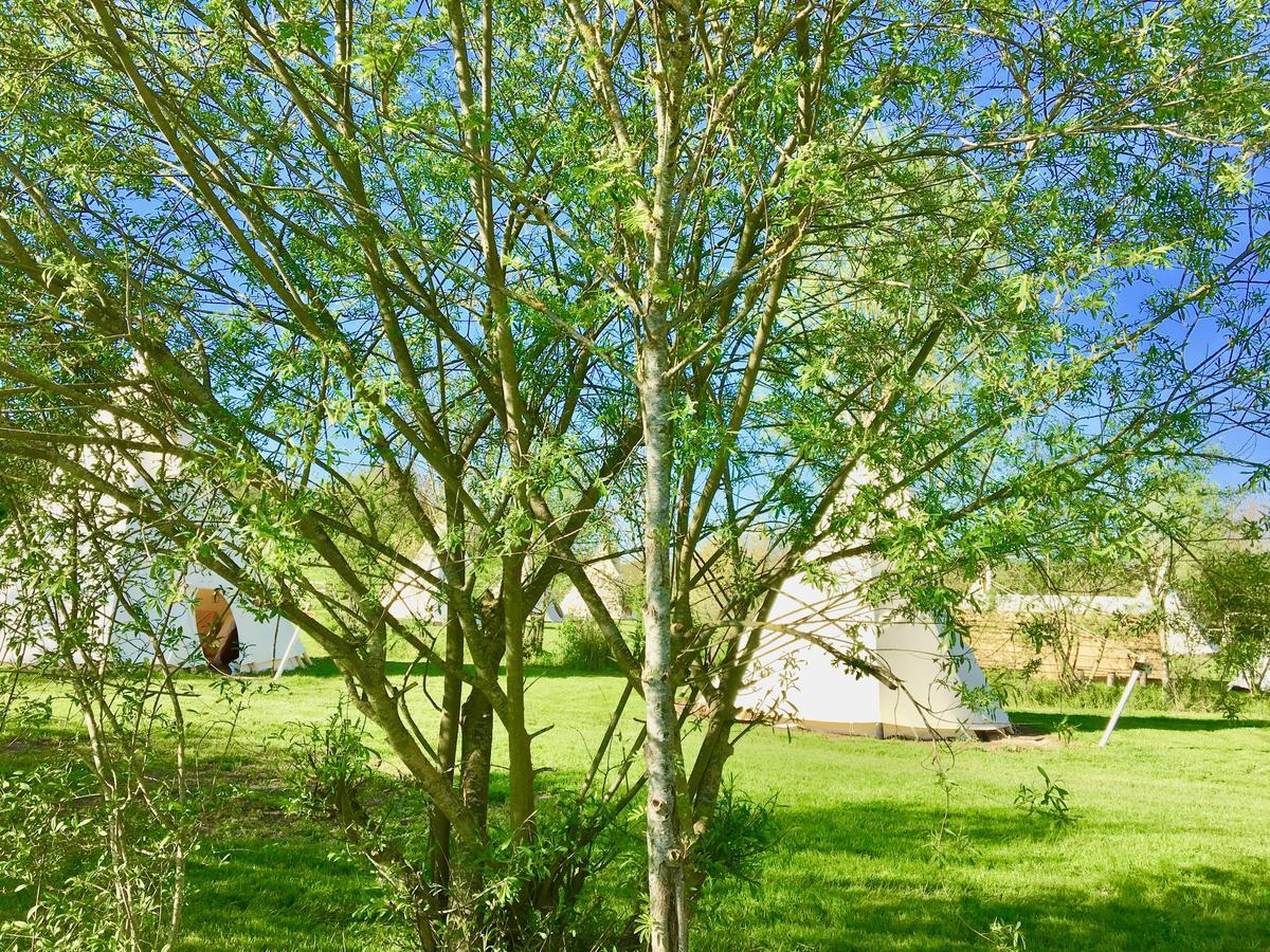 Hotel Les Tipis du Bonheur de Vivre à Brûlon Extérieur photo